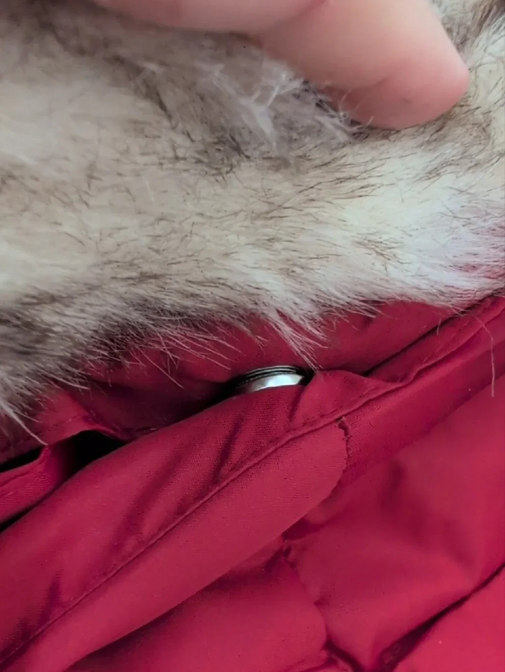 Gymboree Hooded Puffer Jacket with Faux Fur Trim - Burgundy